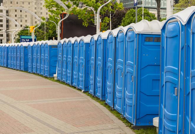 portable restrooms with sink and hand sanitizer stations, available at a festival in Crane